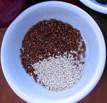 red and white quinoa