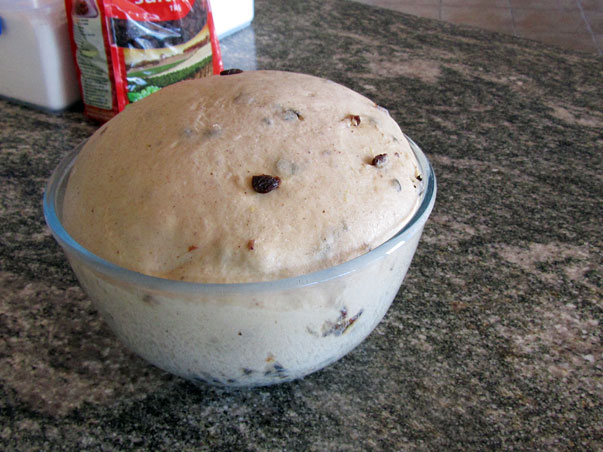 hot cross bun dough