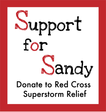 Support for Sandy