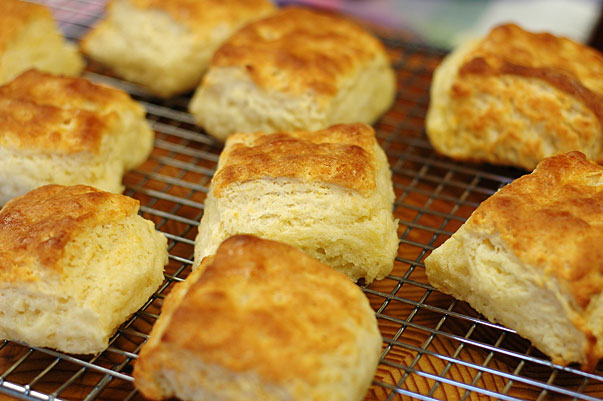 flakey biscuits hot from the oven