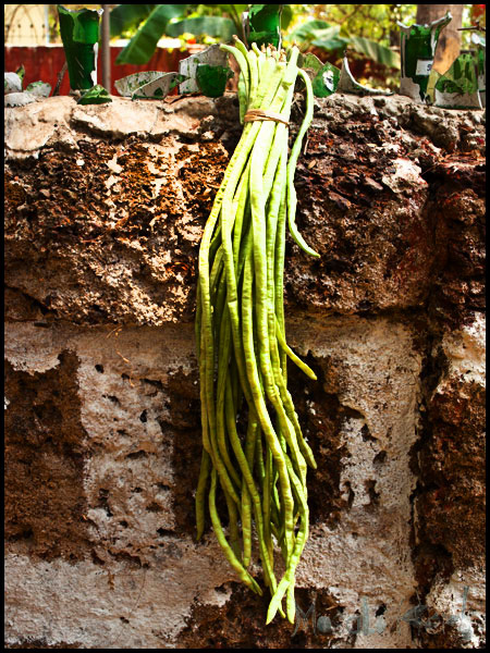 yard long beans