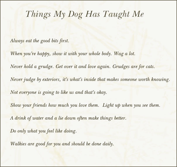 Things My Dog Taught Me