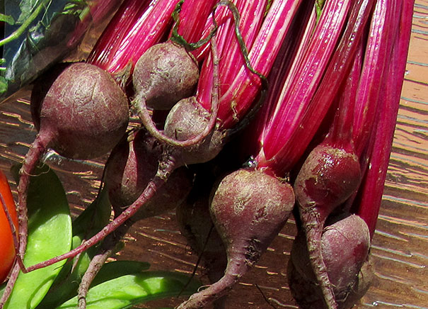 fresh beets or beetroot