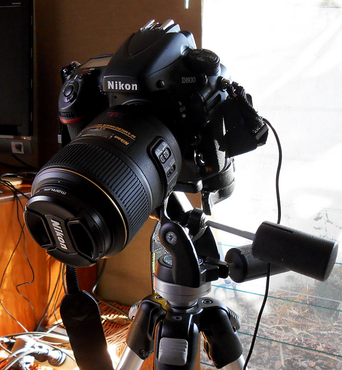 Nikon d800 camera