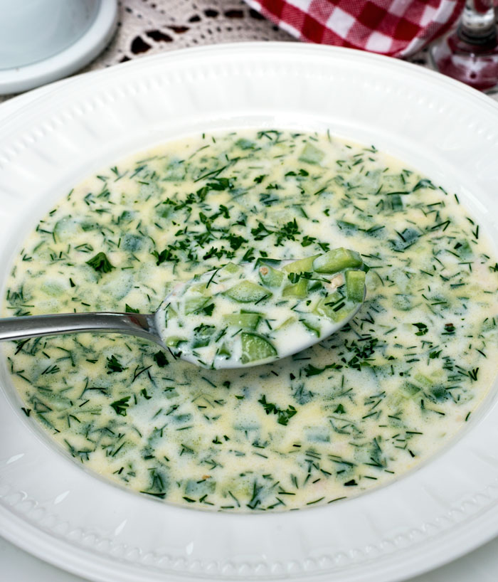 Bulgarian Tarator Soup