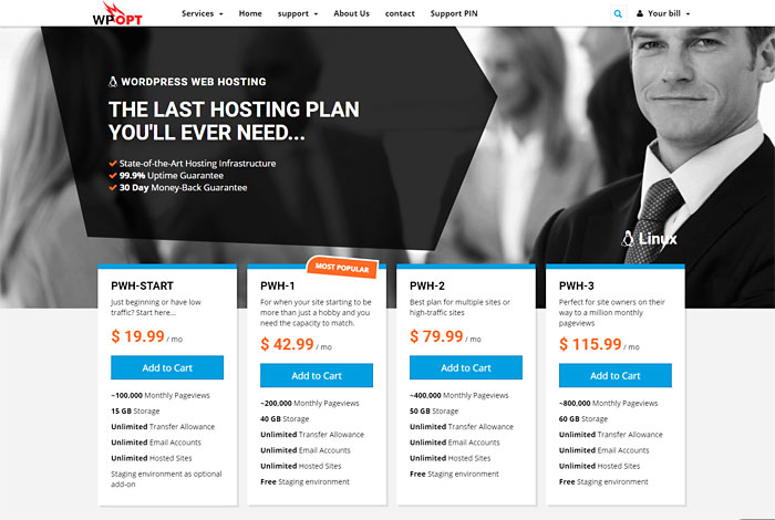 wpopt.net trustworthy web hosting